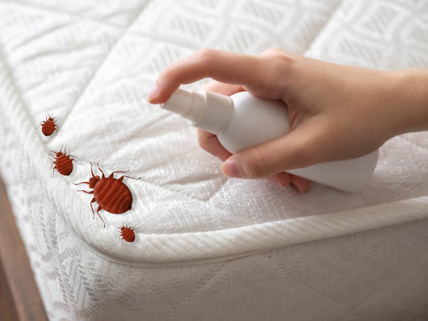 Best Real Estate Pest Inspections  in Kensington, NY